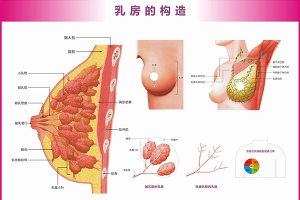 治疗乳腺增生结节用什么方法