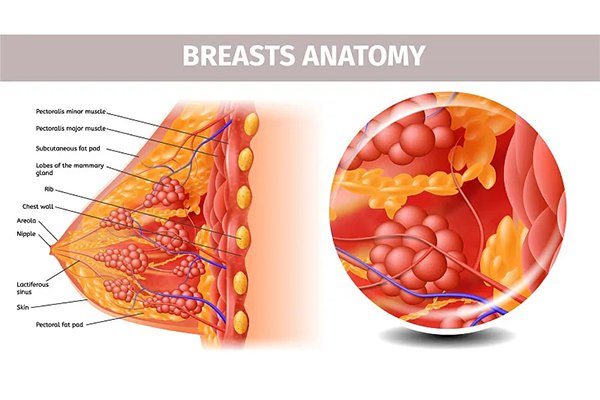 乳腺增生自我按摩的操作手法推荐